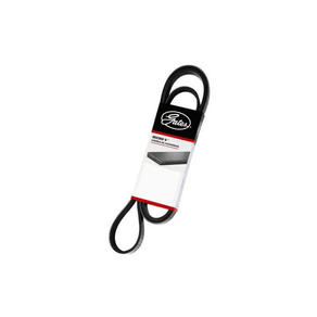 Correia-De-Acessorios-Gates-9504