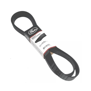 Correia-De-Acessorios-Gates-8Pk2110