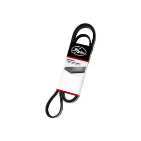 Correia-de-Acessorios-V-Gates-9581