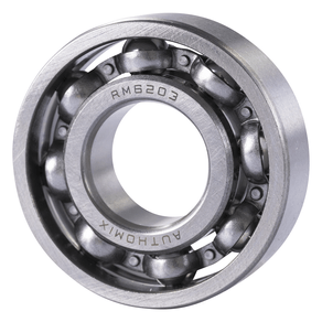 Rolamento Do Eixo Authomix Rm6203 C3(I)