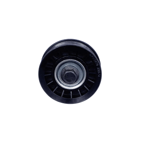 Polia Dayco Apv2878
