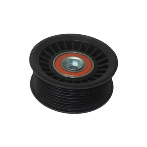 Polia Dayco Apv2409
