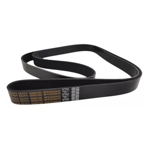 Correia De Acessórios PolyV Dayco 8Pk2020Hd