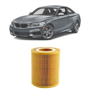 17333256718959
