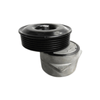 Tensionador Dayco Apv2070