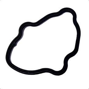 17338668429279