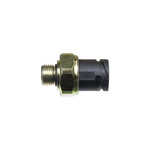 Interruptor-Pneumatico-Pneumatico-3Rho-5599
