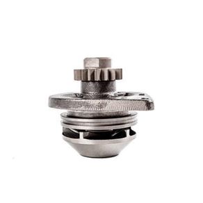 Bomba D'Água Agrale MA 7.5T/MA 8.5/MA 9.2 E Authomix Ba15005