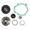 Kit De Reparo Da Bomba D