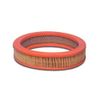 Filtro De Ar Motor Authomix Far6089
