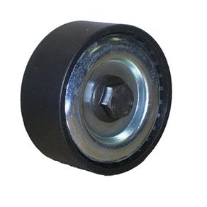 Polia Lisa Parafuso Alternador Authomix Jumper/Ducato/Boxer