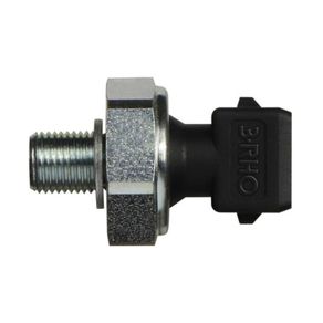 Interruptor-De-Pressao-3Rho-33105