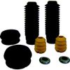 Kit De Reparo Do Amortecedor Dianteiro Authomix Rk31079C