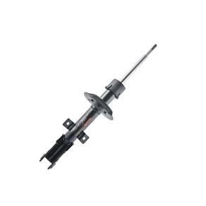 Amortecedor Idea 2006 Dianteiro Cofap GP30224