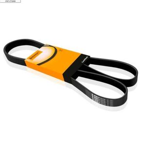 Correia-de-Acessorios-V-Gates-9561