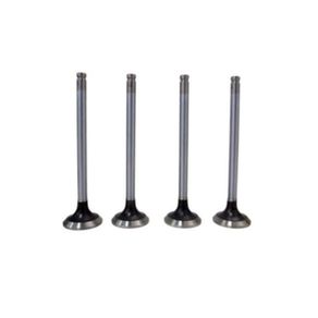 Valvula-De-Admissao-Std-Master-2004-2013-Mahle-Va0181483-Std