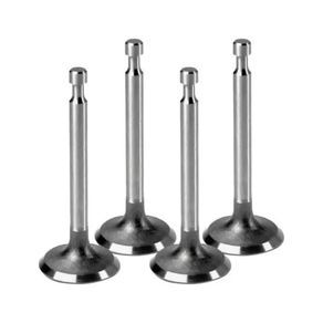 Valvula-Admissao-BlazerRangerDefender-Mahle-Va0570250-Std