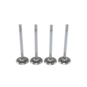 Valvula-Admissao-EcosportFocusFusion-Mahle-Va0590255-Std