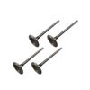 Valvula-De-Admissao-Hilux-1992-ate-1998-Mahle-Va0630240-Std