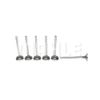 Valvula-Escape-Bonanza-Caravan-Veraneio-Mahle-Ve0140107-Std