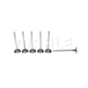Valvula-Escape-Bonanza-Caravan-Veraneio-Mahle-Ve0140107-Std