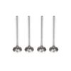 Valvula-De-Escape-Master-2004--ate-2012-Mahle-Ve0181484-Std