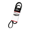 Correia-De-Acessorios-1550Mm-Gates-8Pk1550