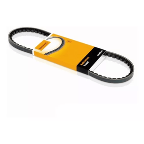Correia-V-1120Mm-10Mm-Continental-Avx10X1120