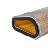 Filtro de Ar FRAM Honda CB 600F Hornet ABS 2008-2011 CA12191