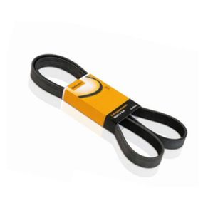 Correia Acessórios Ford F-4000 2005-2011 Continental 8Pk1385
