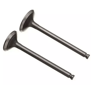 Válvula Admissão Authomix VM811710A Honda Lead 110 2009/2016