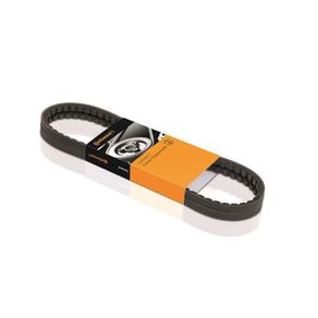 Correia V OH 1421/OH 1621/L 1721 S Continental AVX13X1595