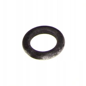 Anel O'Ring Bosch 1 900 210 105