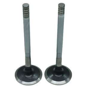 Válvula De Admissão Mwm 7008017R1E