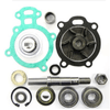 Kit De Reparo Da Bomba D