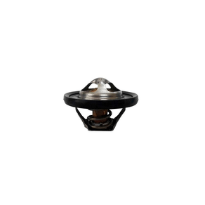 Válvula Termostática Magneti Marelli Mmvt441.82K