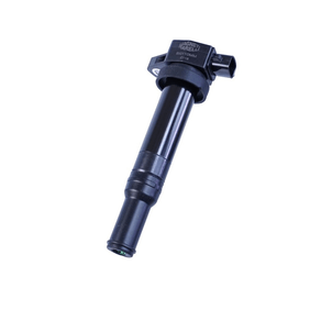 Bobina De Ignição 12V Preto Individual Magneti Marelli Bi0110Mm