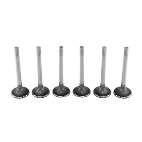 Válvula De Escape Std Mahle Ve0250167 Std