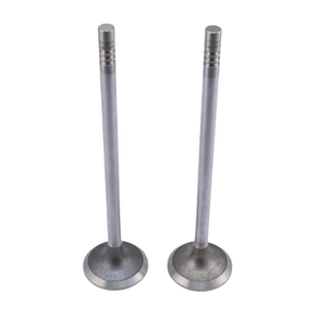 Válvula De Escape Mahle Ve0461694 Std