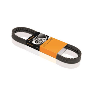Correia V 770Mm 13Mm Continental Avx13X770