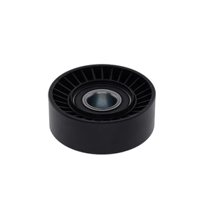 Polia Dayco Apv2157